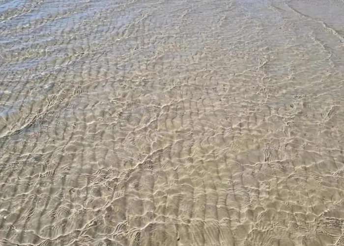 Villa Arcadia - N.1 Privlaka (Zadar)